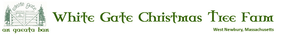 White Gate Christmas Tree Farm | 28 Ash Street | West Newbury, MA 01985 | (978) 363-2224